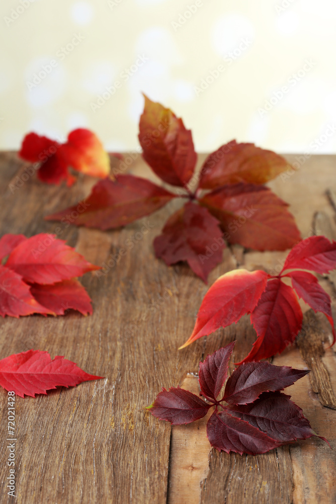 Beautiful autumn leaves on wooden background Beautiful autumn leaves on wooden background