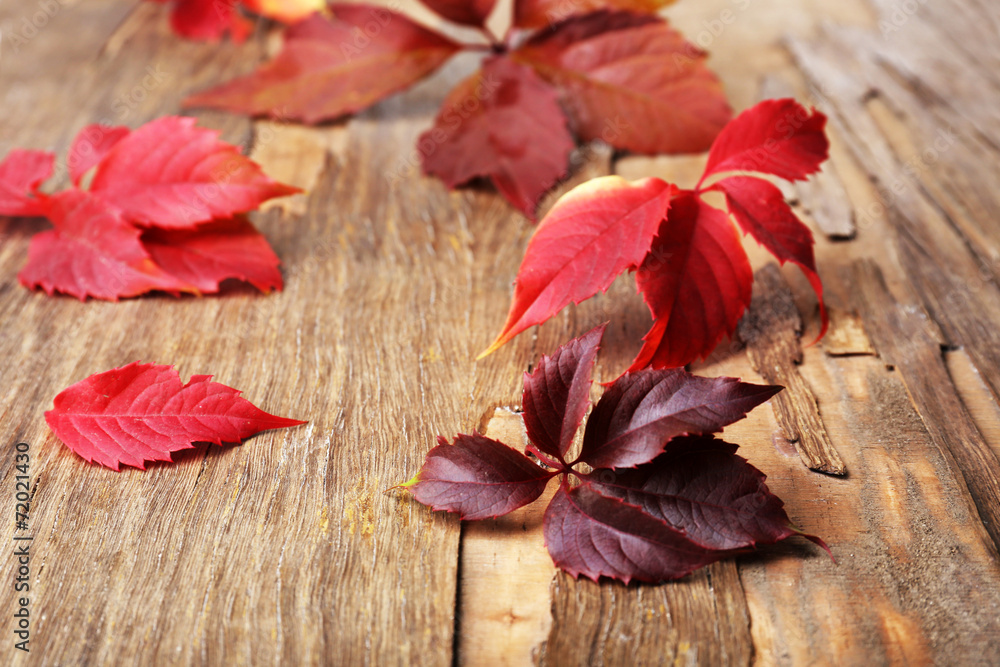 Beautiful autumn leaves on wooden background Beautiful autumn leaves on wooden background