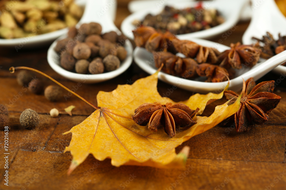 Different spices in spoons with yellow leaves Different spices in spoons with yellow leaves