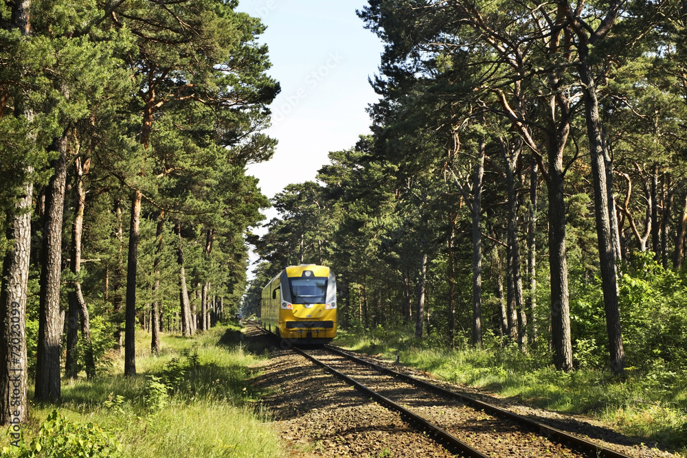 Naklejka premium Railway in Jurata. Poland