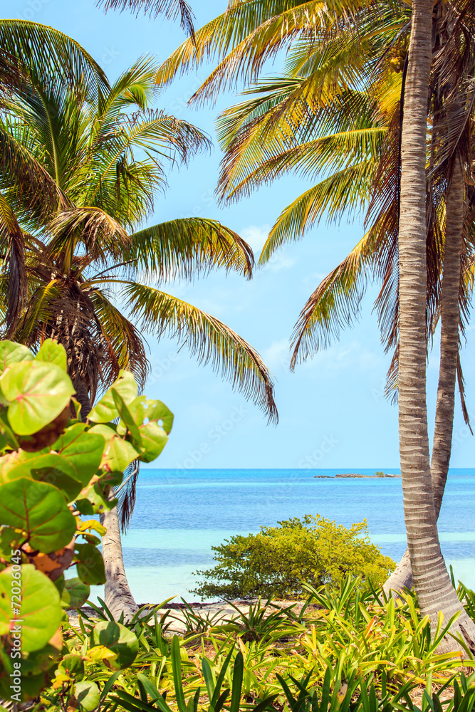 Fototapeta premium Tropical paradise