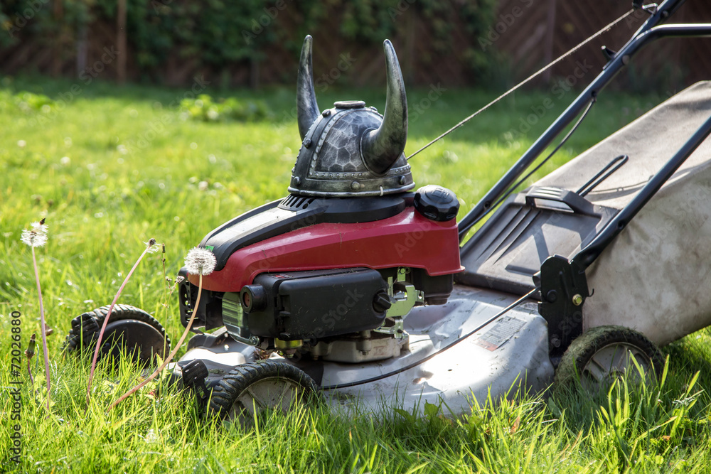 Fototapeta premium Viking mower