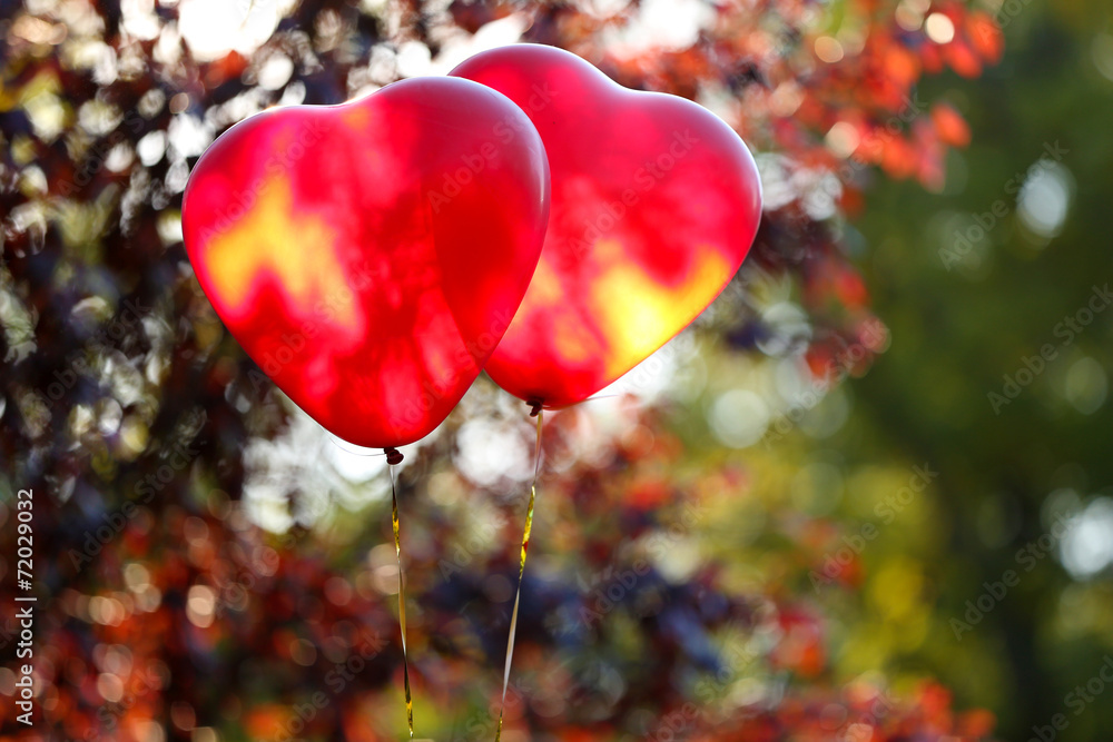 Love heart balloons, outdoors - obrazy, fototapety, plakaty 