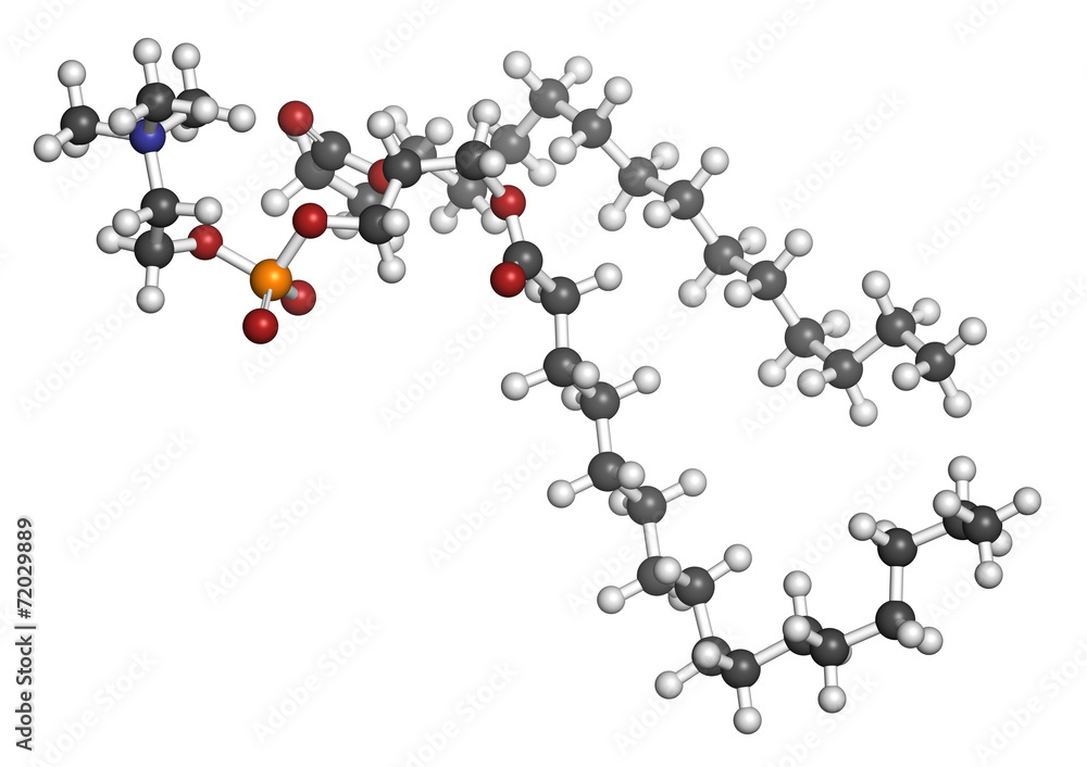 Pulmonary surfactant molecule. Pulmonary surfactant molecule.