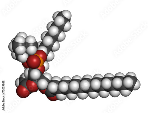 Pulmonary surfactant molecule.  photo