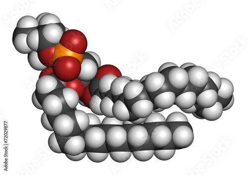 Pulmonary surfactant molecule.  photo