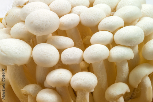 Bunch of white bunapi beech mushroom on white background