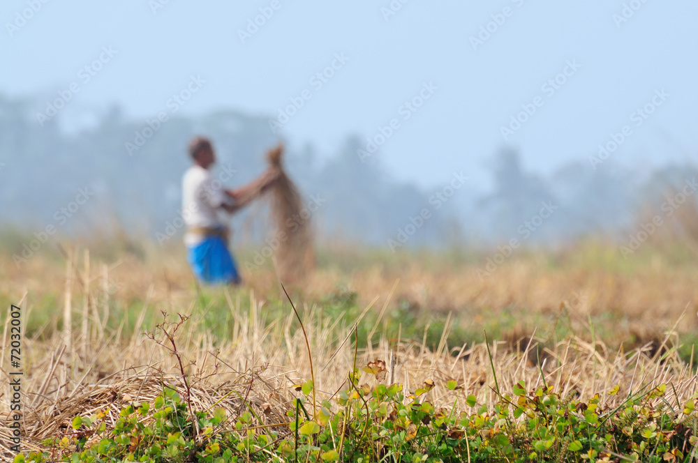 Indian rural man working in the field