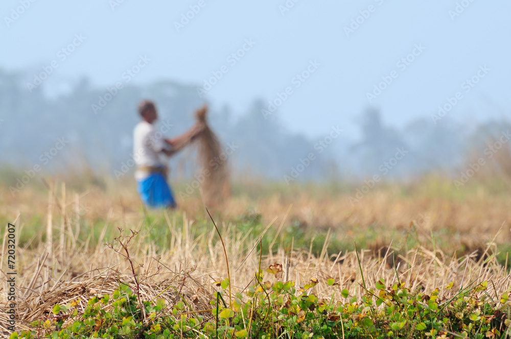 Indian rural man working in the field Indian rural man working in the field