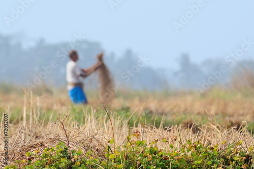 Indian rural man working in the field