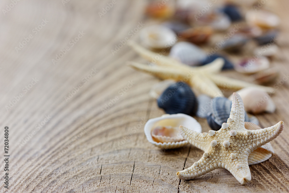Starfish and seashells on a wooden rustic board Starfish and seashells on a wooden rustic board