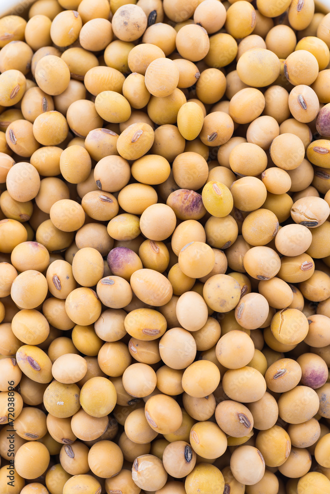 Soybean isolated on white background
