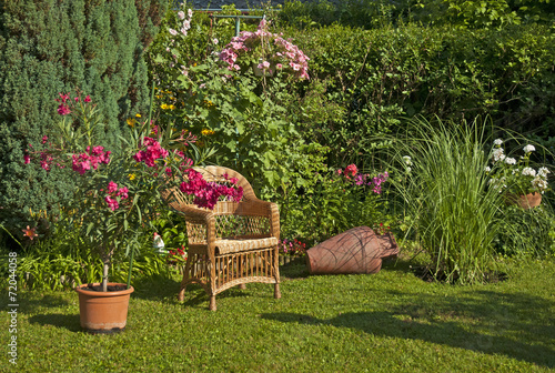 Nice oleanders in the garden