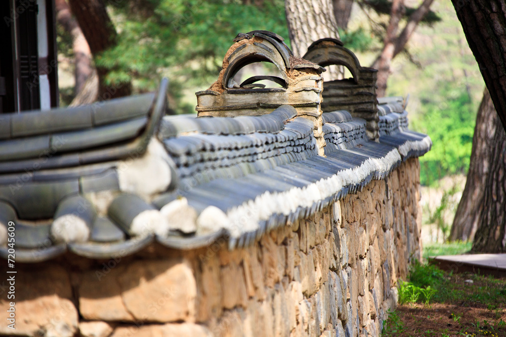 Obraz premium 청룡포