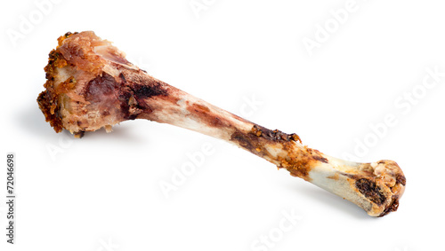 Isolated macro of eaten chicken drumstick bone