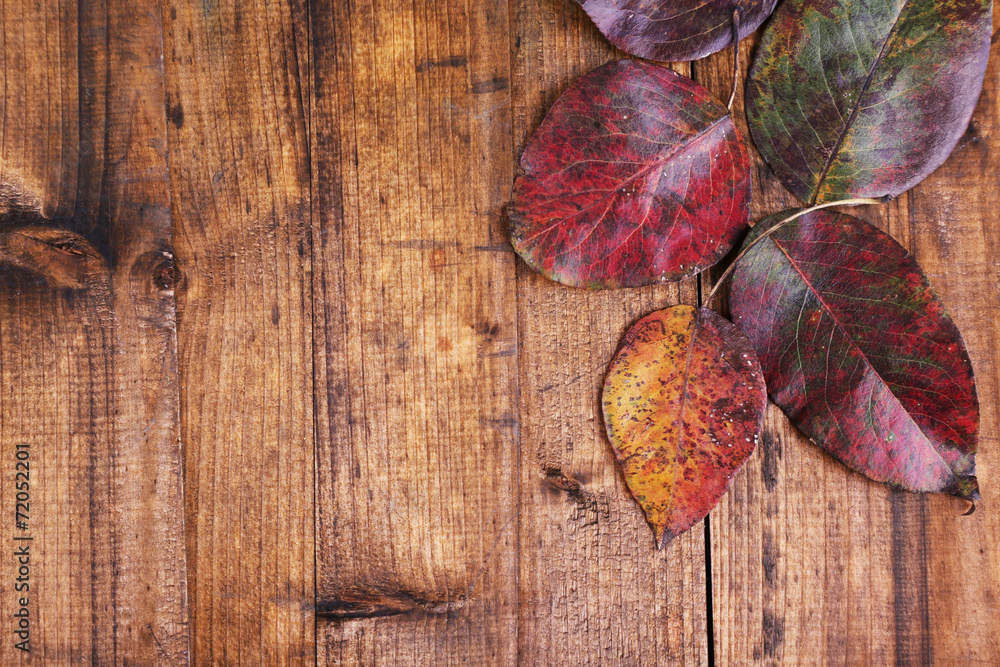 Leaves on brown wooden background Leaves on brown wooden background