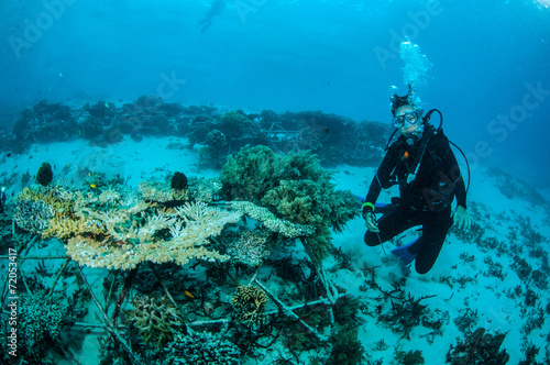 Diver and biorocks in Gili Lombok Nusa Tenggara Barat underwater