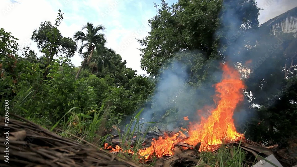 Forest fire on Koh Samui jungle. Thailand. HD. 1920x1080 Forest fire on Koh Samui jungle. Thailand. HD. 1920x1080