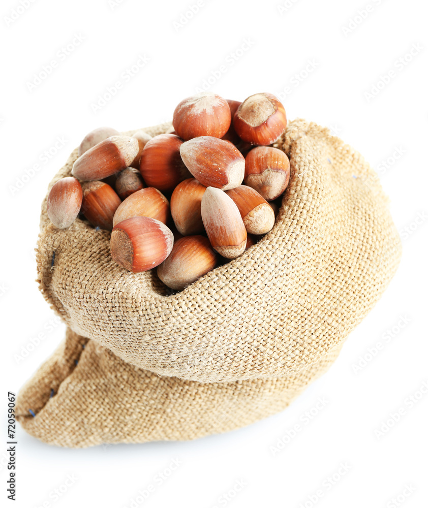 Hazelnuts in bag isolated on white Hazelnuts in bag isolated on white
