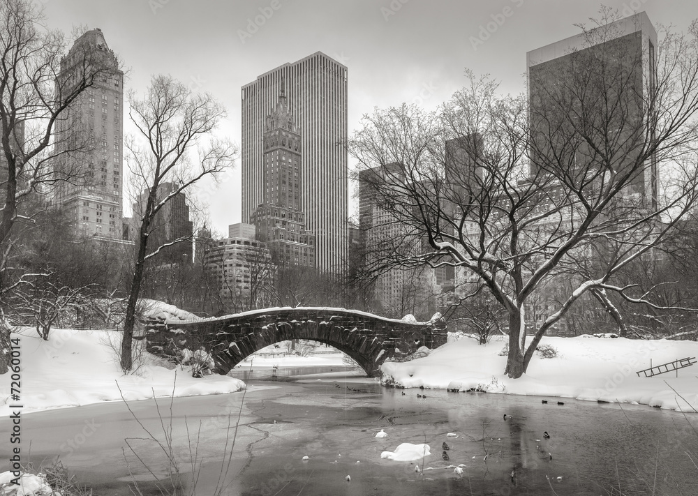 Winter scene in Manhattan: the Pond, Gapstow Bridge and Manhatta