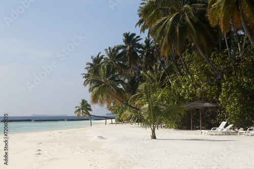 tropical island palm sea and sky © angelo lano