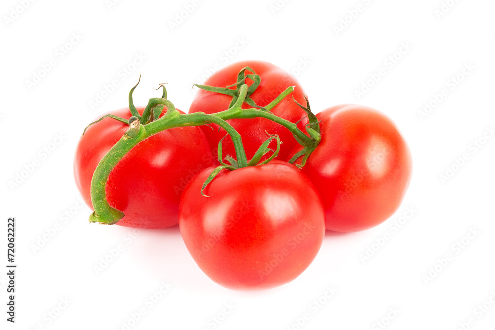 tomatoes tomatoes