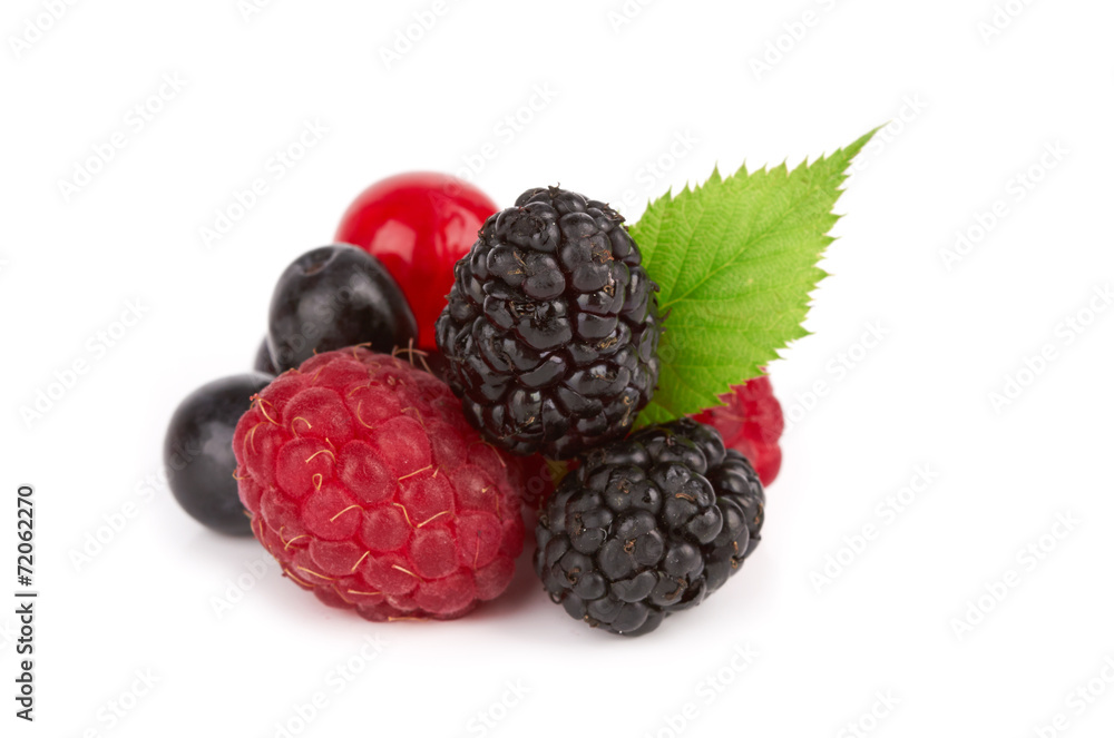 Berries Berries