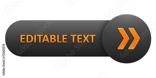 VECTOR BUTTON with EDITABLE TEXT (blue arrows)