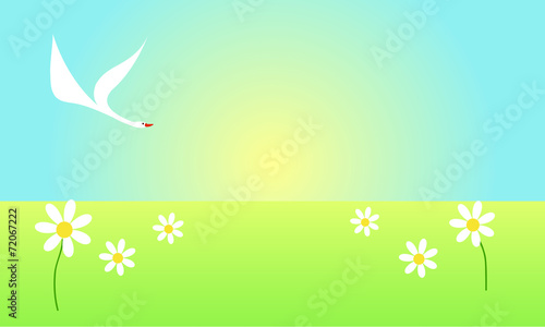 Swan flying over the flower field