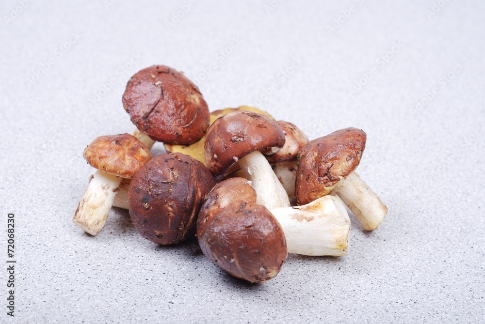 Fresh bolete mushrooms background