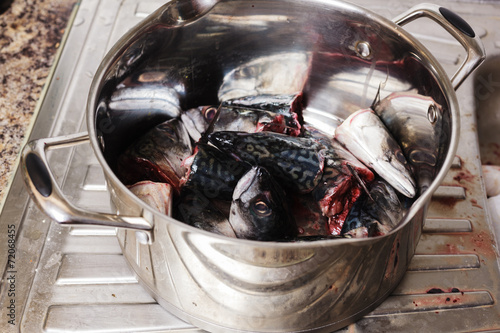 Pot filled with fish heads photo