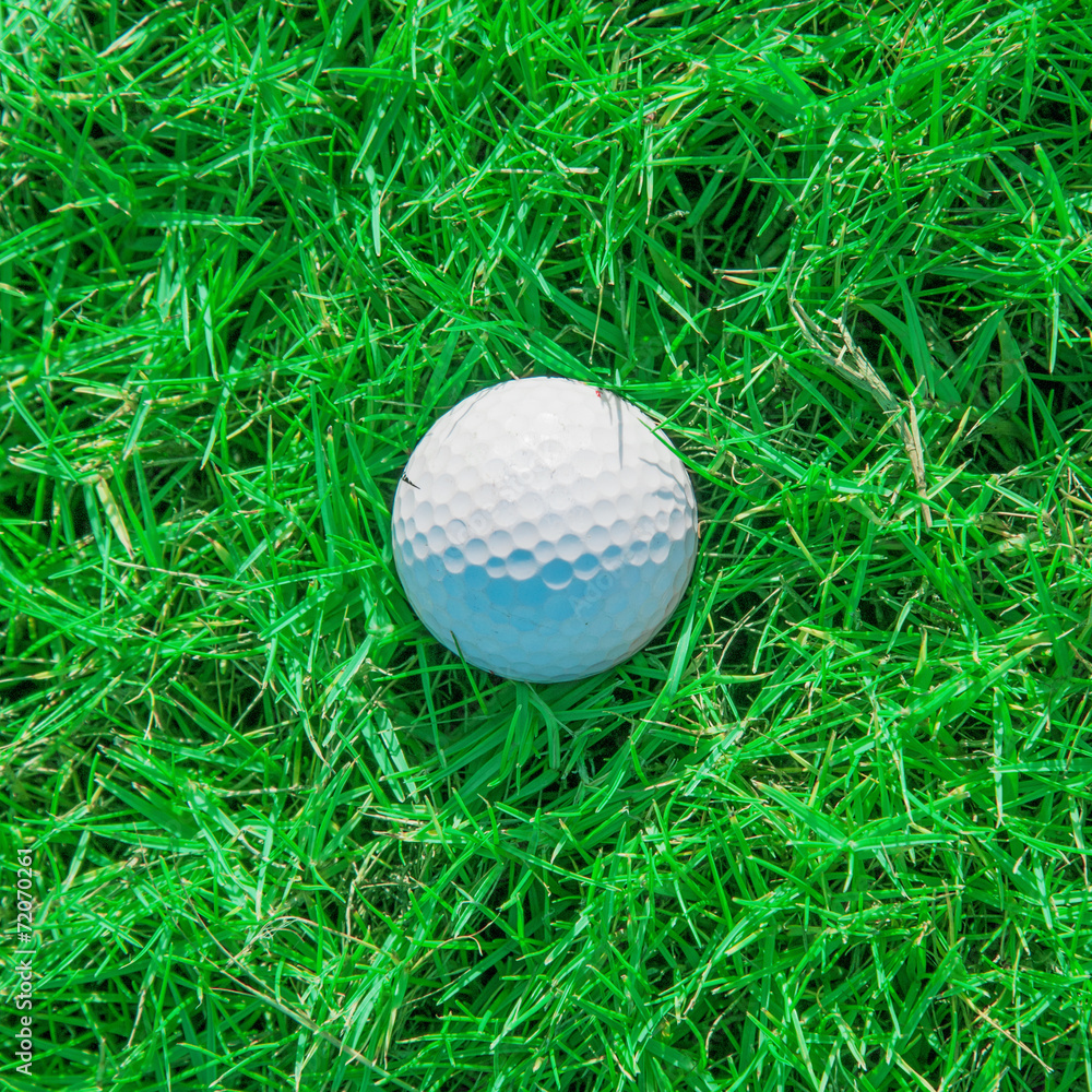 Golf club and ball in grass Golf club and ball in grass