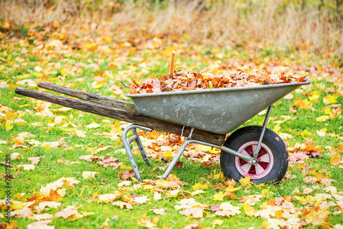 Wheelbarrow filled with aut...