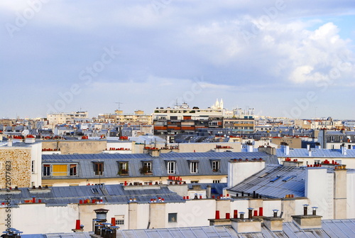Skyline Roofs of Paris