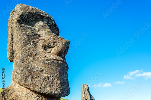 Moai Closeup photo