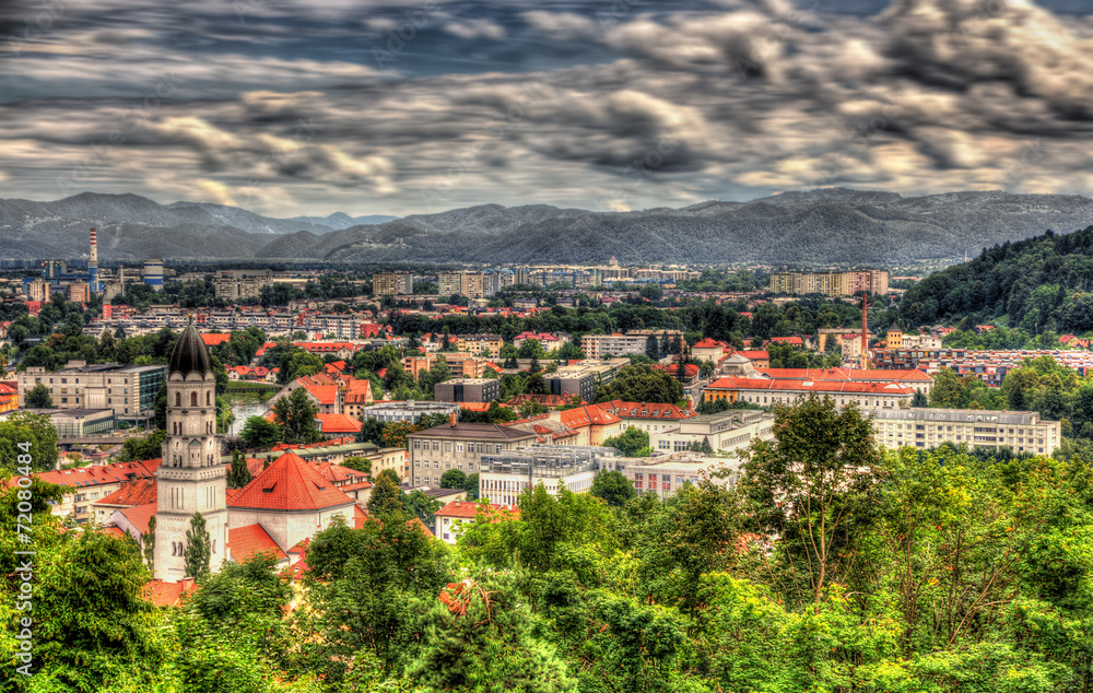 View of Ljubljana from the castle - Slovenia