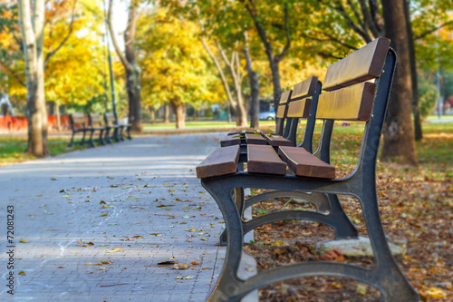 bench in autumn © ba11istic