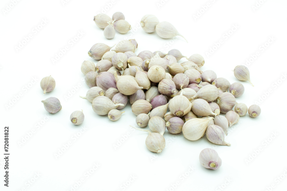 Garlic isolated on white background Garlic isolated on white background