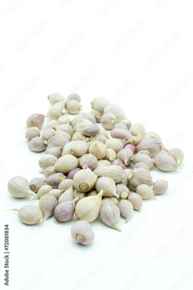 Garlic isolated  on white background