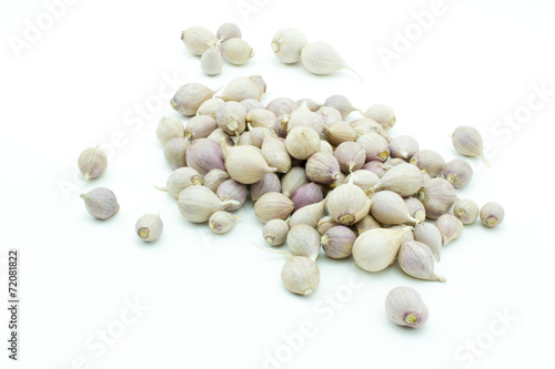 Garlic isolated  on white background