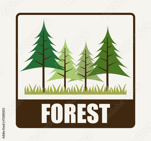 forest camping design