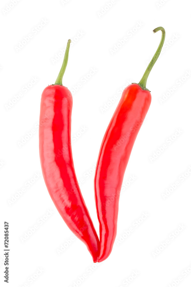 pepper red isolated