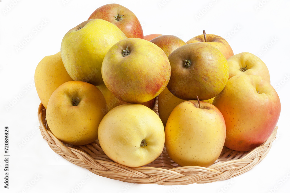 Pommes Tentation - Malus domestica - en vrac dans une corbeille Pommes Tentation - Malus domestica - en vrac dans une corbeille
