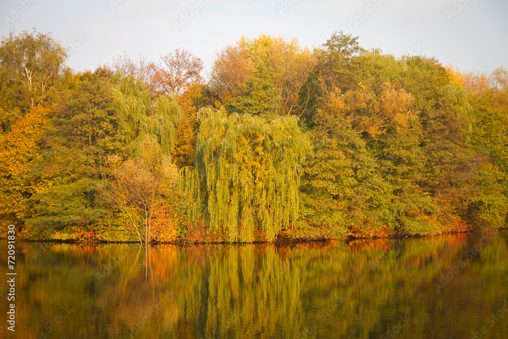 autumn in the park.