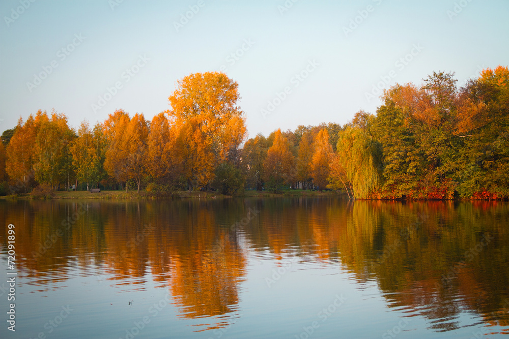 autumn in the park. autumn in the park.