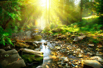 Mountain river. Tranquil scenery in the middle of green forest