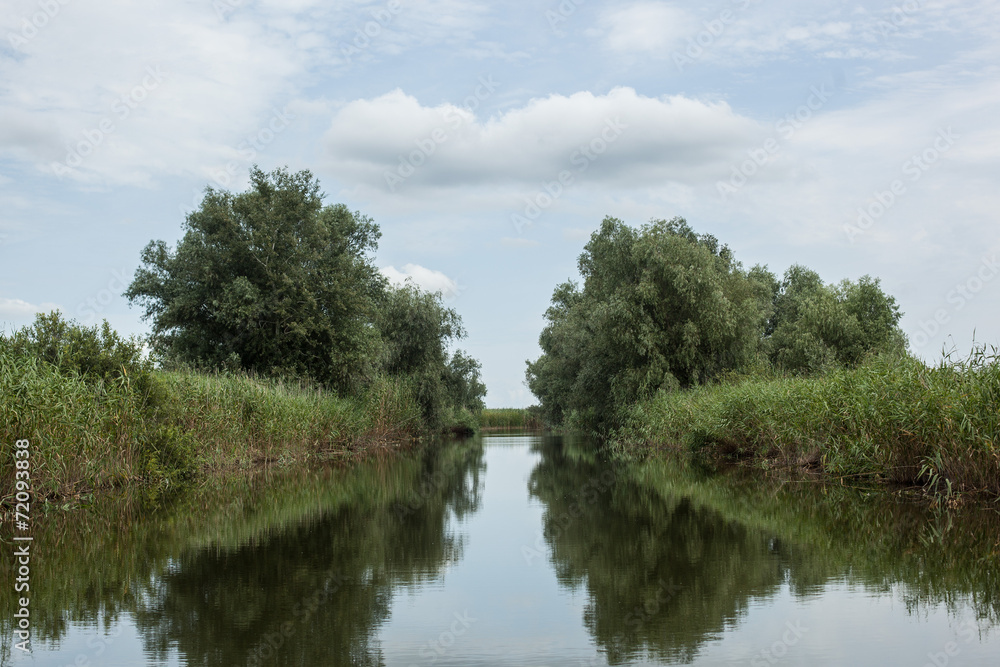 Nature on a river Nature on a river