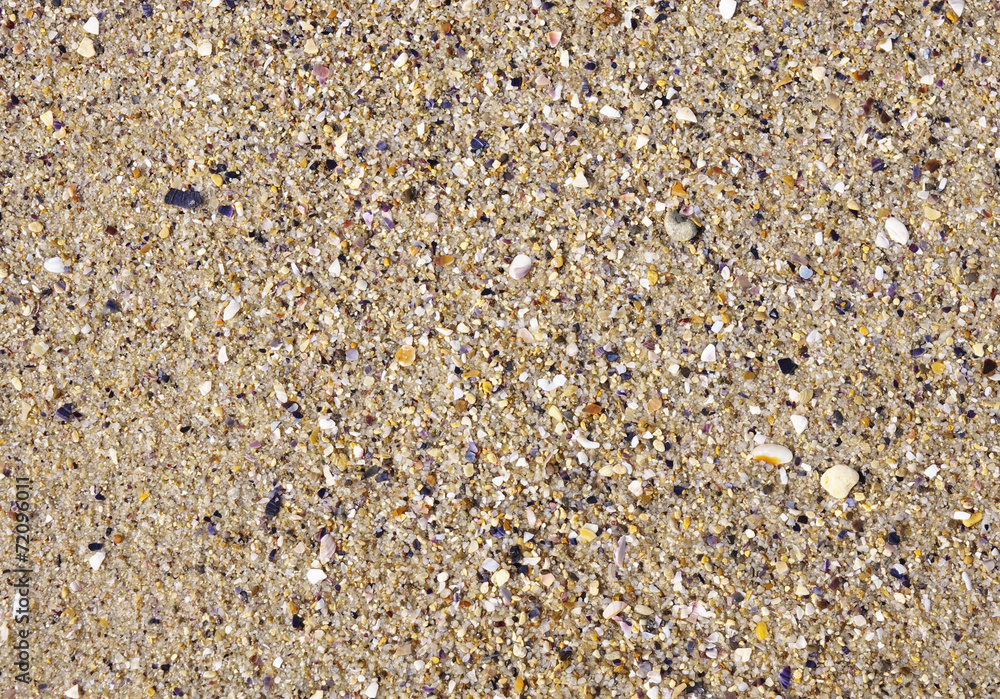 Wet sand with crushed sea shells Wet sand with crushed sea shells