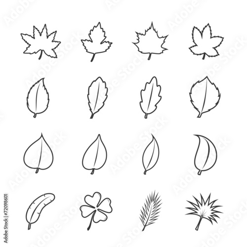 Leaf icon set line design