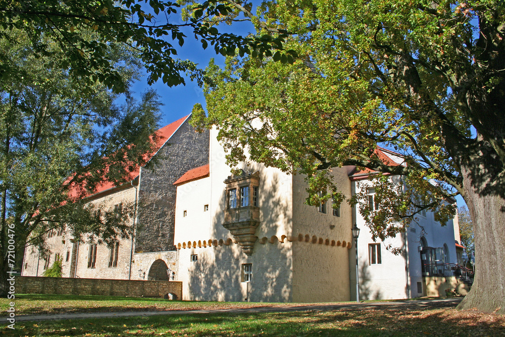 Schloss Schöningen (Niedersachsen)